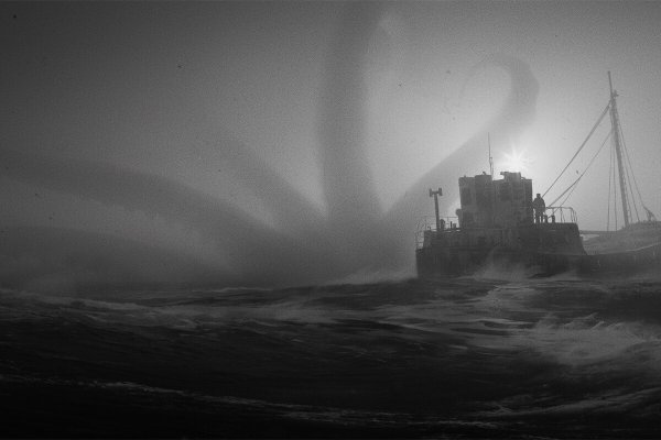 Kraken это