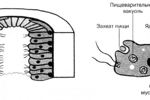 Kraken tor onion зеркало